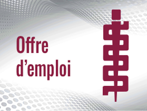 Offre Emploi